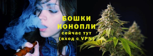 дмт Богданович