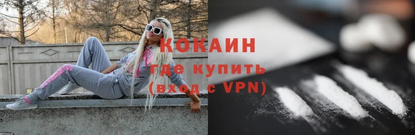 дмт Богданович