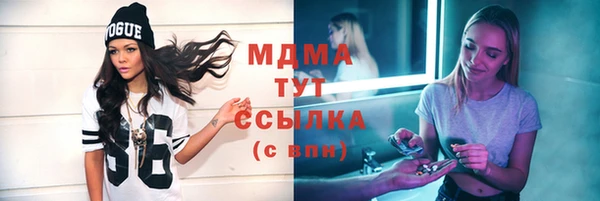 дмт Богданович