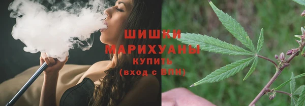 дмт Богданович