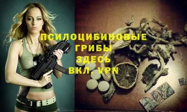 героин Богородицк