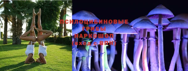 дмт Богданович