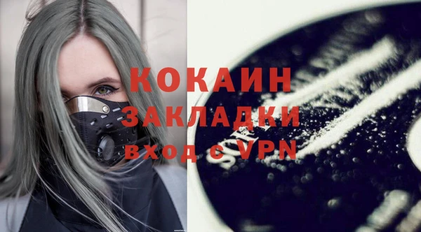 дмт Богданович
