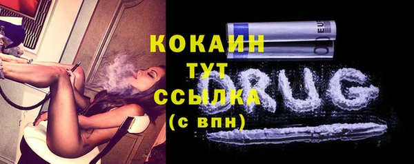 дмт Богданович
