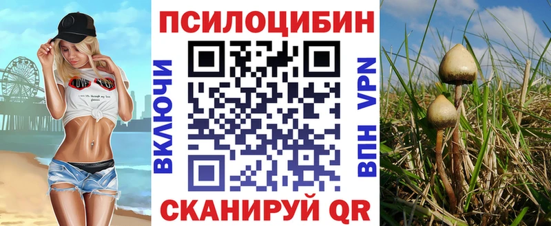 Галлюциногенные грибы мицелий  Гусиноозёрск 